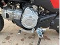 HONDA CRF 110 F 2025/10 - 9
