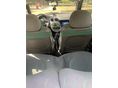 FORD KA 2008/3 - 4