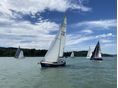 BALATON 295
