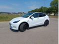 TESLA MODEL Y 2021/8 - 2