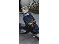 APRILIA MOJITO 50 2008/8 - 9