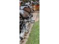 BMW R 850 R 2007/8 - 5