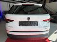 SKODA KODIAQ 2017/4 - 8