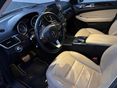 MERCEDES-BENZ GLE 250 2016/6 - 11