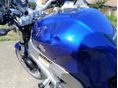 SUZUKI SV 650 N 2004/5 - 6