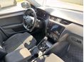 SKODA OCTAVIA 2019/5 - 6