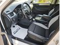 SKODA RAPID 2019/1 - 5