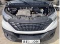 IVECO 2020/8 - 6
