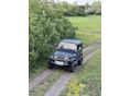 JEEP WRANGLER 1988 - 7