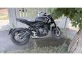 TRIUMPH TRIDENT 