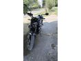 TRIUMPH TRIDENT 2021 - 4