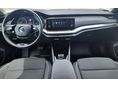 SKODA OCTAVIA 2021/11 - 7
