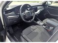 SKODA OCTAVIA 2021/11 - 8