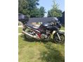 SUZUKI GSF 1200 S (BANDIT) 2006 - 2