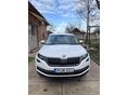 SKODA KODIAQ 2019/11 - 2