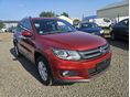 VOLKSWAGEN TIGUAN 2013/12 - 1