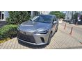 LEXUS RX 2025/6 - 2