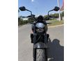TRIUMPH TRIDENT 2023/6 - 5