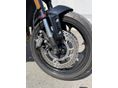 TRIUMPH TRIDENT 2023/6 - 7