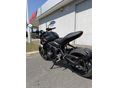 TRIUMPH TRIDENT 2023/6 - 3