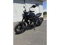 TRIUMPH TRIDENT 2023/6 - 4