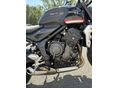 TRIUMPH TRIDENT 2023/6 - 6
