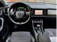 SKODA KODIAQ 2022/4 - 7