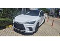 LEXUS RX 2025/6 - 2