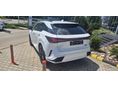LEXUS RX 2025/6 - 4