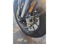 TRIUMPH TIGER 900 2025/3 - 10