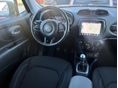 JEEP RENEGADE 2021/1 - 8