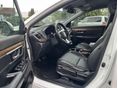HONDA CR-V 2019/8 - 5