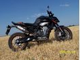 KTM 890 DUKE 