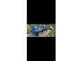 BMW X6 2009/10 - 12
