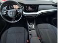 SKODA OCTAVIA 2023/6 - 5