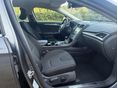 FORD MONDEO 2016/1 - 11