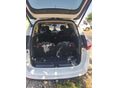 FORD C-MAX 2011/5 - 7