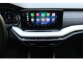 SKODA OCTAVIA 2022/2 - 17