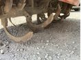 YANMAR 1986/6 - 5