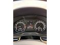 SKODA KAROQ 2018/4 - 6