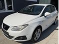 SEAT IBIZA 2009/1 - 3