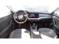 SKODA OCTAVIA 2023/6 - 5