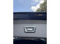 BMW X1 2022/2 - 7