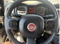FIAT PANDA 2013/1 - 11
