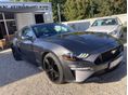 FORD MUSTANG 2019/7 - 3