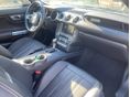 FORD MUSTANG 2019/7 - 11
