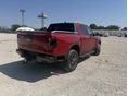 FORD RANGER 2026 - 6