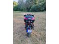 SUZUKI DL 650 2005/12 - 5
