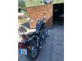 KAWASAKI EN 500 1994/8 - 2