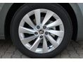 SKODA OCTAVIA 2024/8 - 5